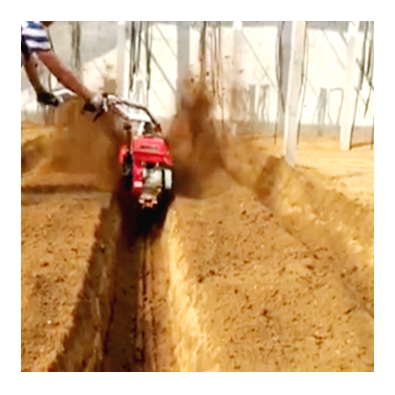 Four-Wheel Drive Farming Hand Puah Diesel Mini Tiller Cultivator for Orchard