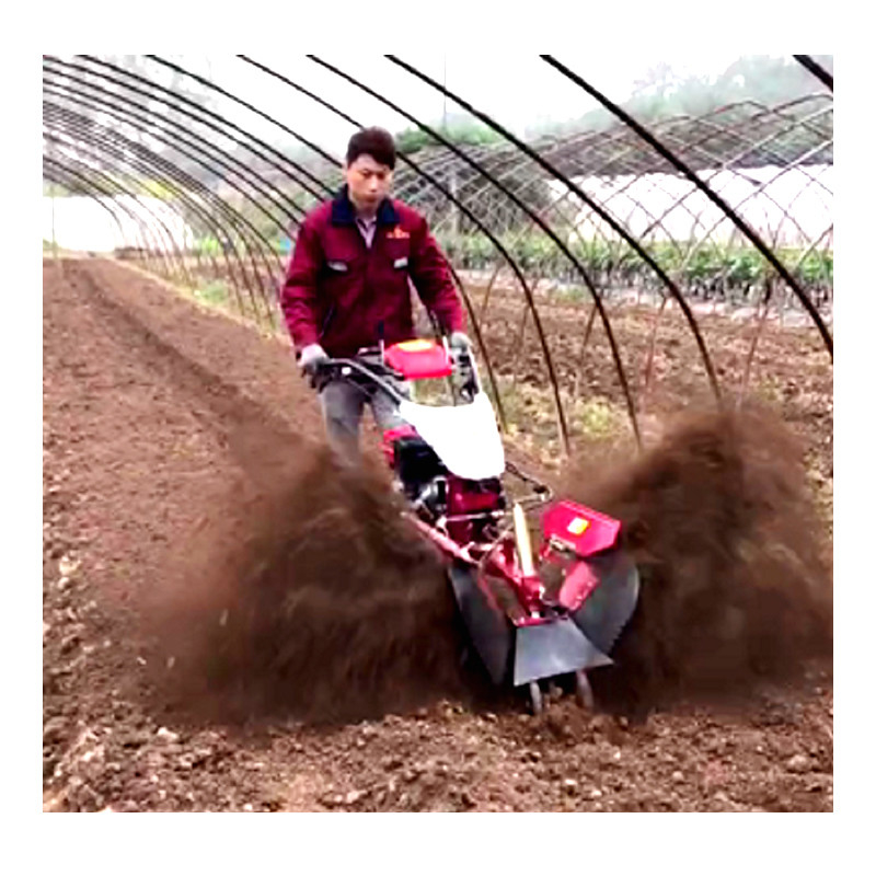 Economical Mini Power Tiller Gear Cultivator 10-40cm Tilling Width and Gasoline Ditching