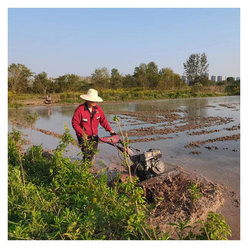 Achieve More in Less Time with Our Rotary Tiller 170F/173F 4WD Mini Power Tiller