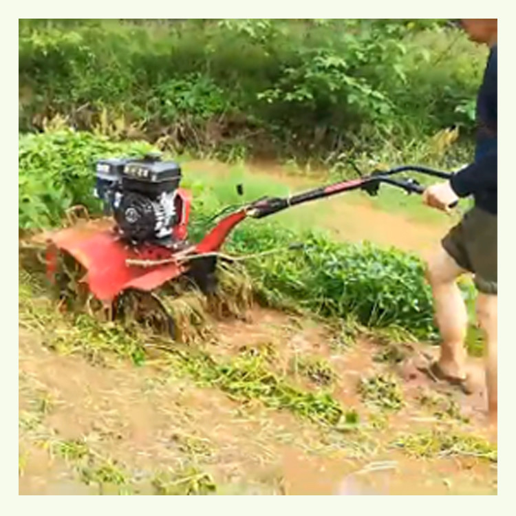 170F 7HP 4.05KW Gear Transmission Manual Start Mini Power Tiller with High Safety Level