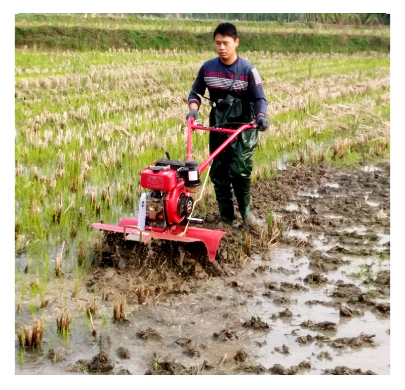 High Safety Level Agricultural Machinery Mini Power Tiller with Working Width 45-85cm