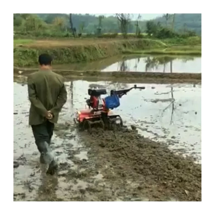 160*62*108cm High Safety Level Agricultural Machinery 4KW Farm Equipment/Mini Rotary Tiller
