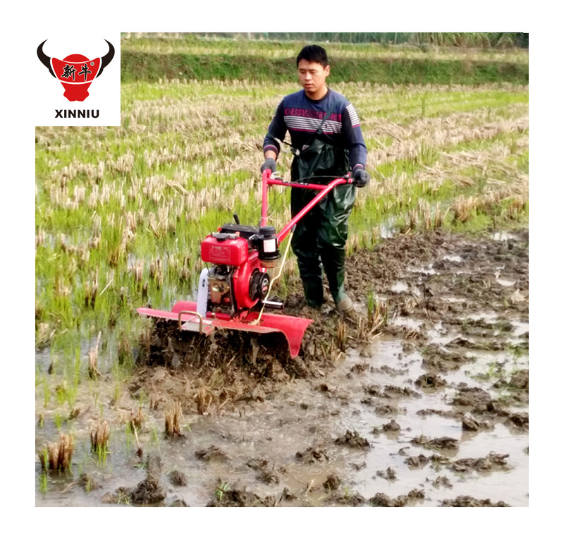 High Safety Level Hand Push Short Model Mini Rotary Tiller for Farming Tools